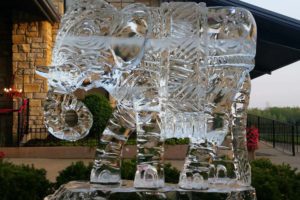 closeup shot of the Ice Sculpture of an Elephant