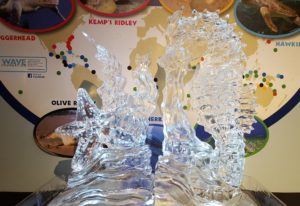 3D Ice Sculptures of a Sea Horse and a Star Fish