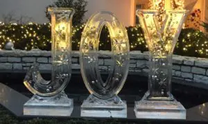 Joy Ice Sculpture with Lights on